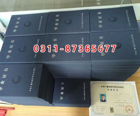 學信網(wǎng)上都能查詢什么學歷呢？